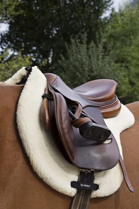 Back on Track, Saddle Pad Teddy