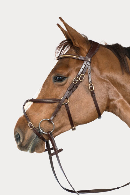 Amiko Noseband Mexican, Havana Brown
