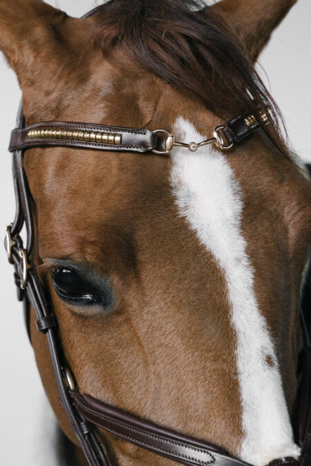 Amiko Browband Clincher Bit, Havana Brown