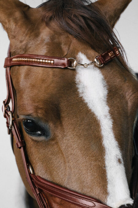Amiko Browband Clincher Bit, Cognac