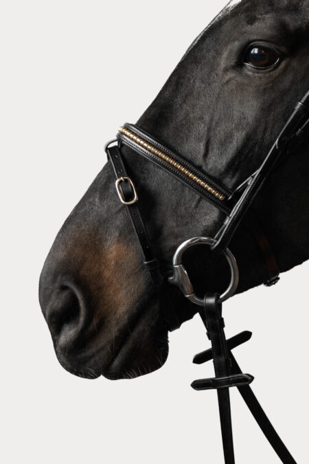 Amiko Noseband Clincher, Black