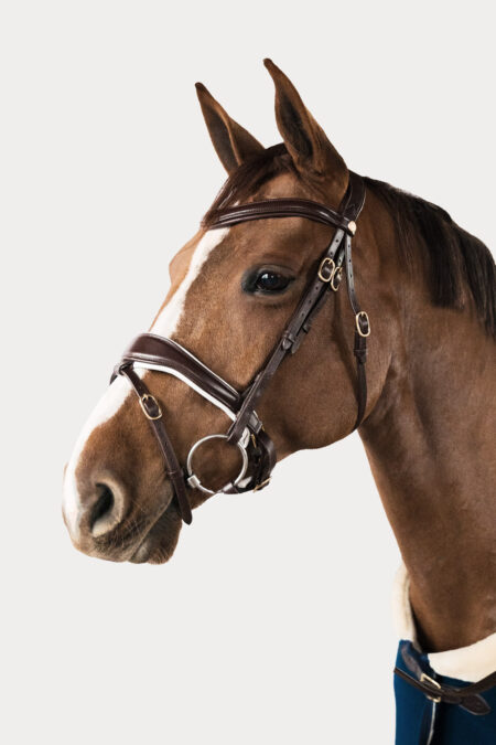 Amiko Bridle Dressage, Havana Brown