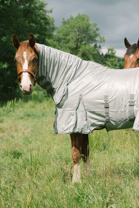 Amiko Fly Rug, Grey