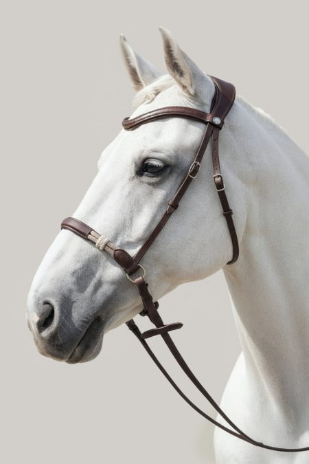 Amiko Bridle Freedom, Havana Brown