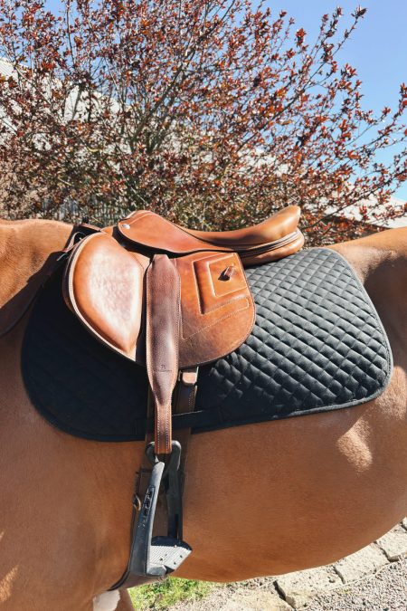 Amiko Saddle Pad Classic, Black