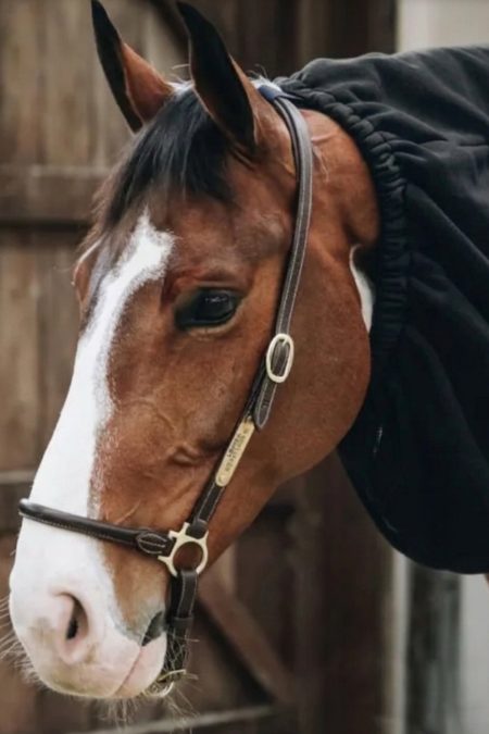 Kentucky, Cooler Fleece Horse Scarf, Black